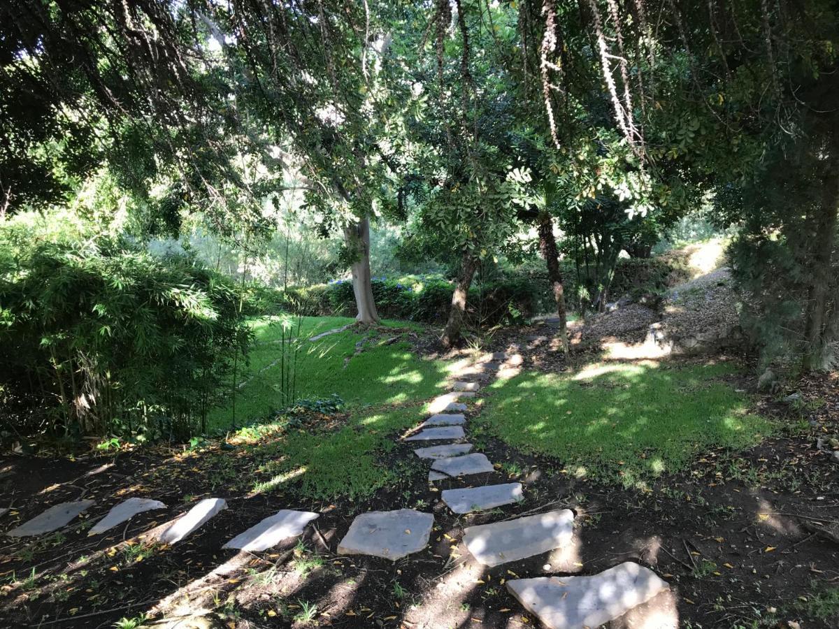 Villa Lampara En La Colina Benahavís Εξωτερικό φωτογραφία